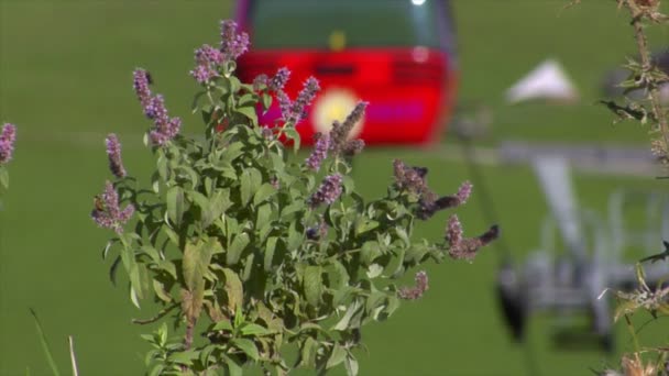 Bulanık teleferik önünde sonbahar çiçek — Stok video
