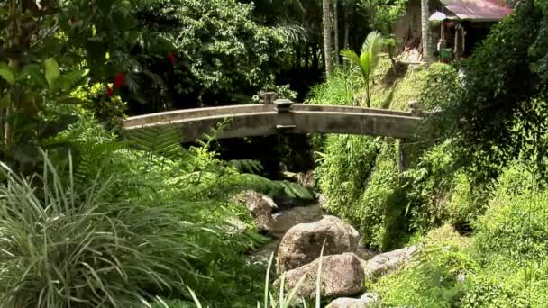 Brücke über das Wasser — Stockvideo