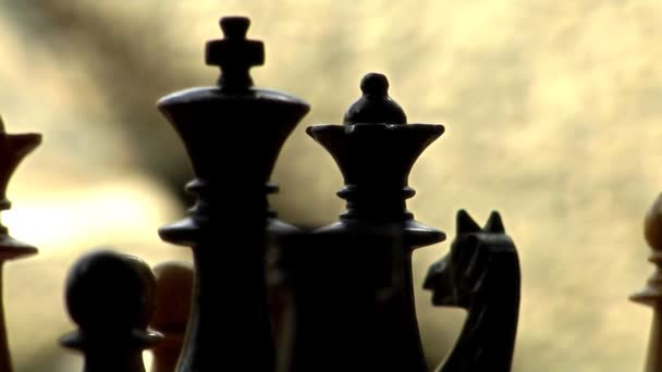 Chess King Queen piste de poupée radiale — Video