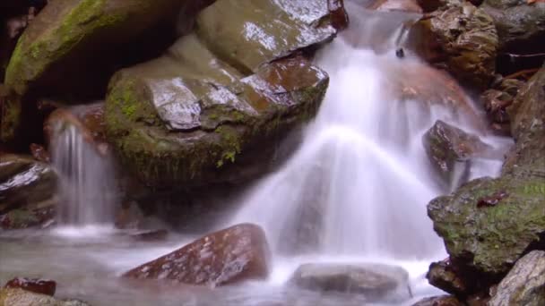 Time lapse water flow 04 — Stock Video
