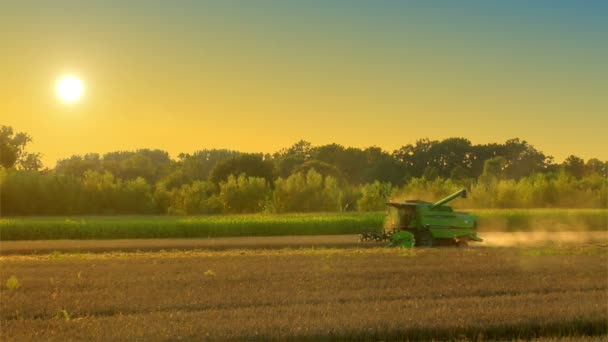 Combine Harvester no campo de centeio 10719 — Vídeo de Stock