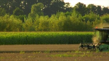 hasat çavdar birleştirmek alan uzun 10725