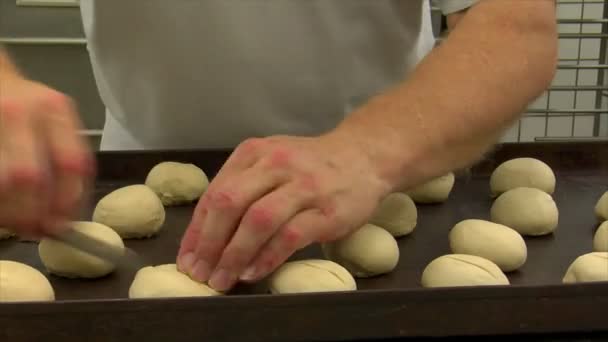 German bakery roll dough cut into dolly 10727