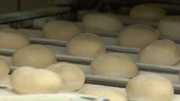 Duitse bakkerij roll broodje op transportband sluiten — Stockvideo