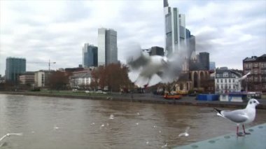 birçok martılar frankfurt manzarası slowmo