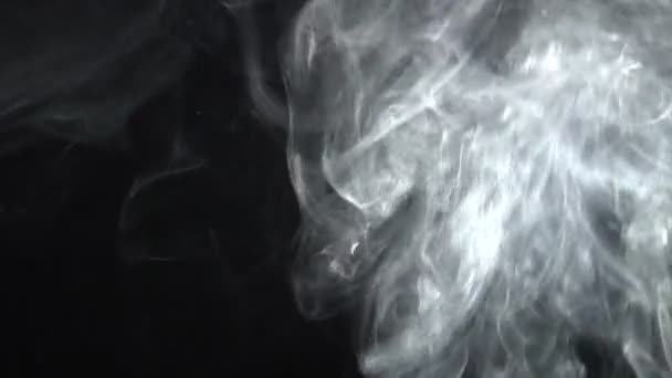 Seite 2 Seite behaart smoke 2 — Stockvideo