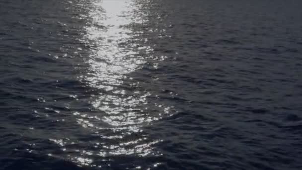 Moonlight reflection over wide ocean 10152 — Stock Video