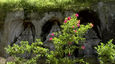 Kırmızı çiçek maya tapınak 10165