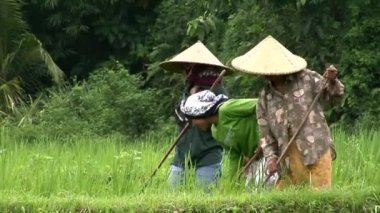 10213 alanlarında çalışan kadın