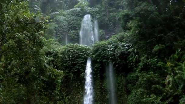 Two rain forrest waterfall 10184 — Stock Video