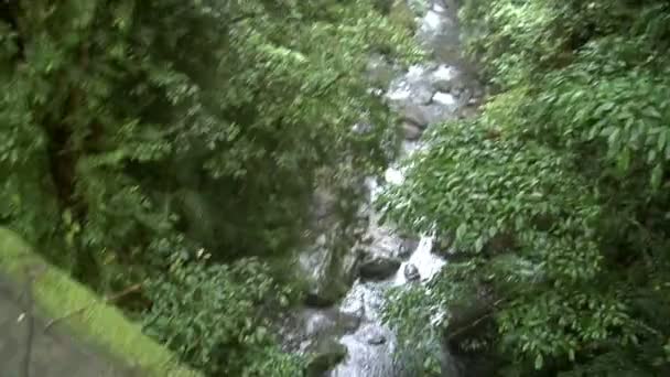Walking vatten bro akvedukten regn djungel b 10188 — Stockvideo