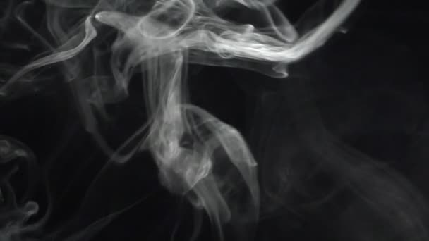 Na fumaça 10195 — Vídeo de Stock