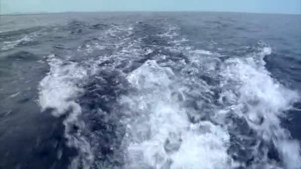Water swirl horizont 10216 — Stockvideo