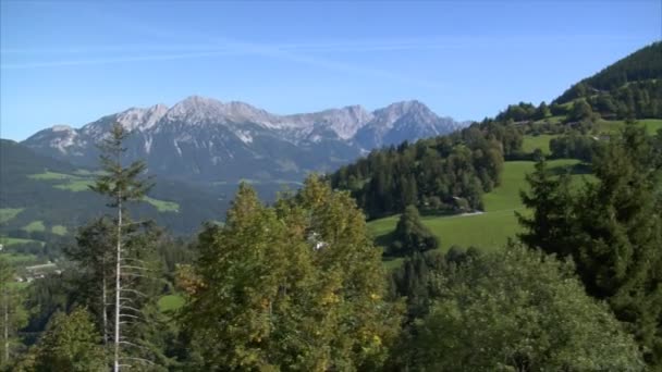 Volare giù montagna alpina tra gli alberi 10251 — Video Stock