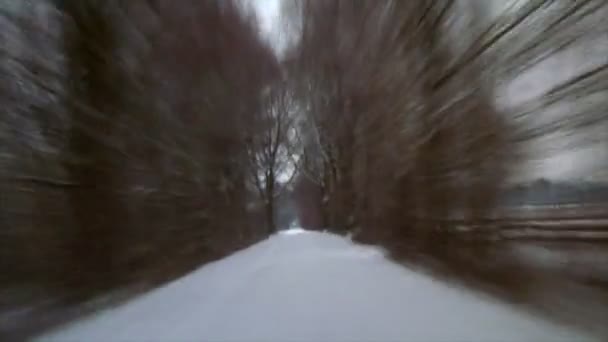 Ралли зимний привод снег 10382 — стоковое видео