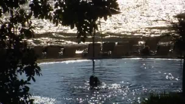 Casal beijo e jogar na piscina 10404 — Vídeo de Stock