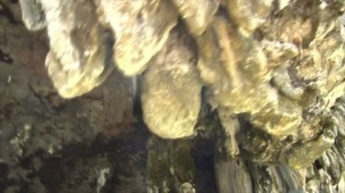 Phang nga tekne su mağaranın sarkıt 10438 vurdu.