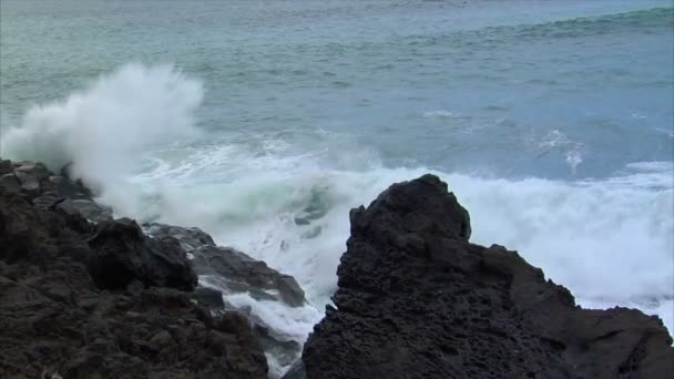 Ola grande aplastando la costa de lava cámara lenta 10460 — Vídeo de stock