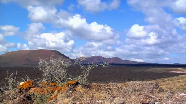 Viviendo en la zona muerta de la luna vulcana en Lanzarote 10480 — Vídeo de stock