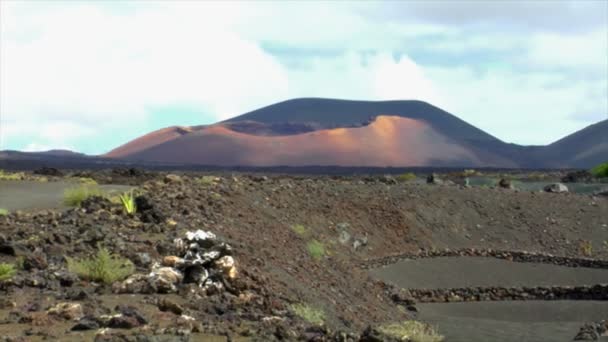 火山葡萄酒种植区域 10503 — 图库视频影像