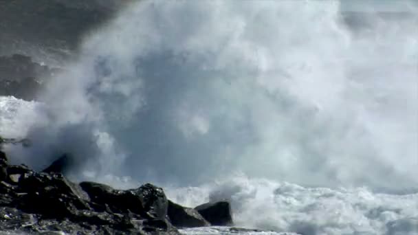 Extreme wave crushing coast close 10529 — Stock Video