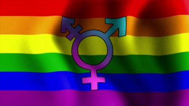 sallanan Gökkuşağı bayrağı transseksüel 10595
