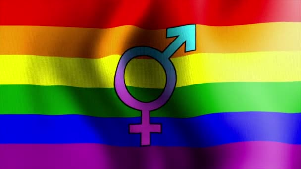 Waving rainbow flag transgender 10595 — Stock Video © RWM-MEDIA #21874597