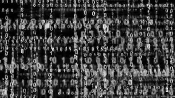 Internet binary data highway bw 10854 — Vídeos de Stock