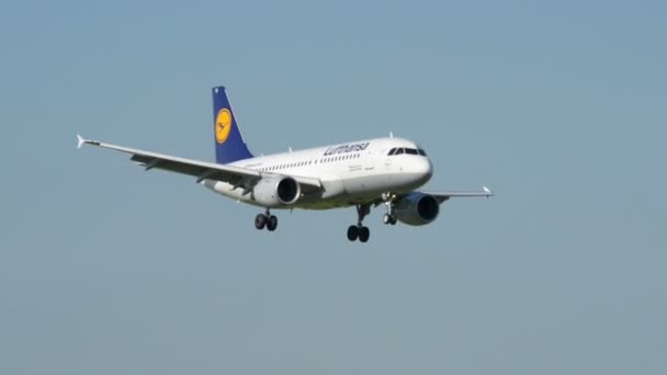 Lufthansa Airbus A319 pouso de avião 11018 — Vídeo de Stock