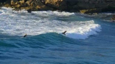 gün batımında 11105 sörf