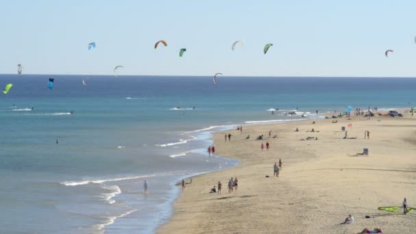 Fuerteventura kitesurfers ráj 11114 — Stock video