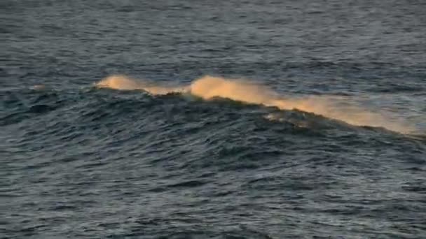 Belle crête des vagues au coucher du soleil 11124 — Video