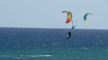 Birçok kitesurfers fuerteventura beach 11195