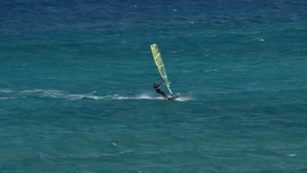 Windsurfer überqueren 11194 — Stockvideo