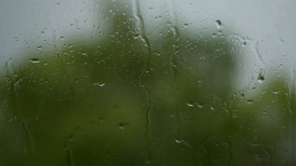 窓に雨が降り — ストック動画