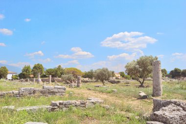 Paestum Ayrıntılar #6