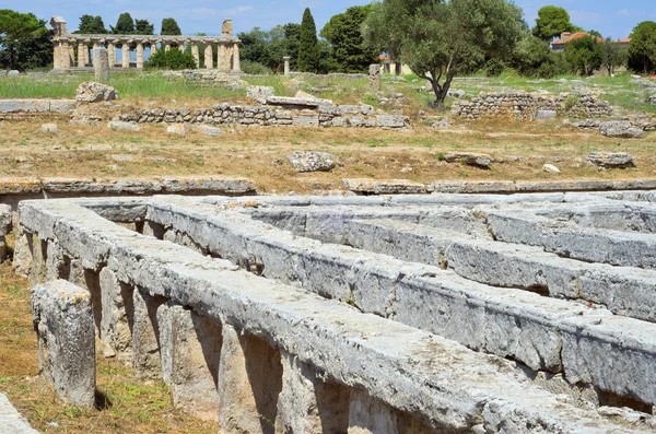 Paestum Detalhes # 4 — Fotografia de Stock