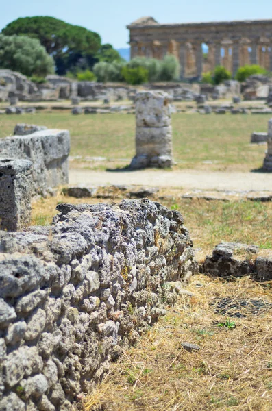 Paestum Ayrıntılar #2