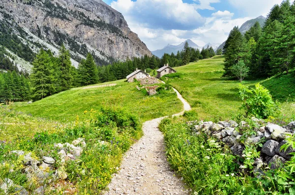 Montaint стежка - Алпі Piemontesi #4 — стокове фото