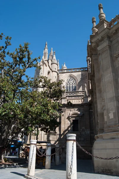 La Cattedrale di Santa Maria della Sede — Foto Stock