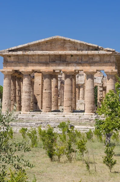Paestum tapınaklar