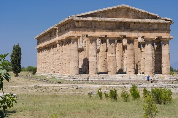 Paestum Templos — Fotografia de Stock