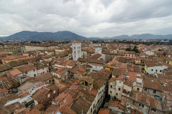 Aereal megtekintéséhez a Lucca - Olaszország — Stock Fotó