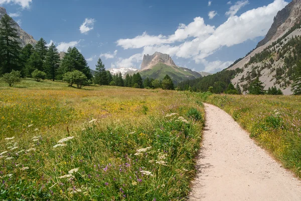 Sentier de montagne — Photo