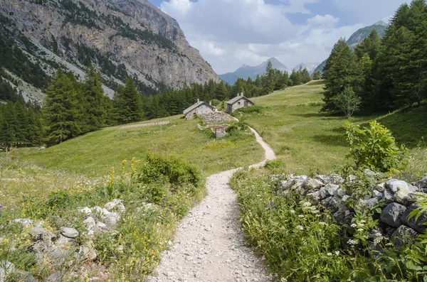 Mountain Trail — Stock Photo, Image