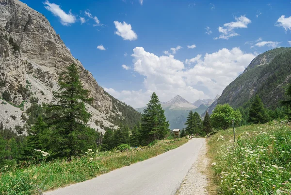 Mountain Trail — Stock Photo, Image