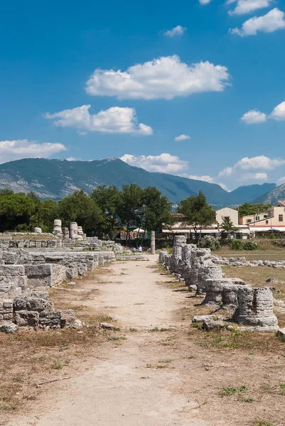 Acrópolis de Paestum. Paestum es una localidad de Campania, Italia —  Fotos de Stock