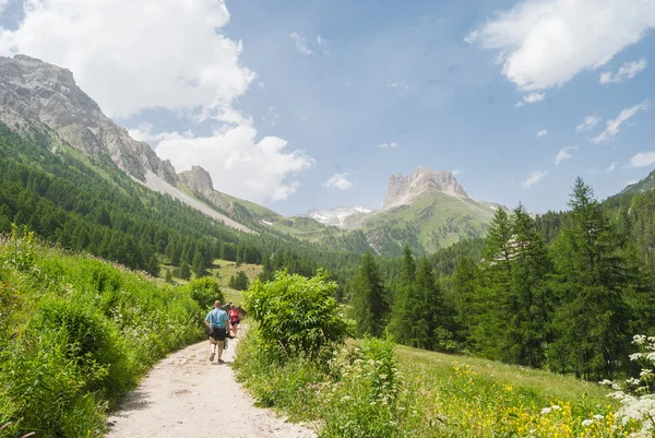 A Mountain Trail — Stock Photo, Image