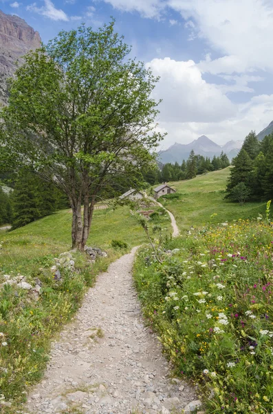 A Mountain Trail — Stock Photo, Image