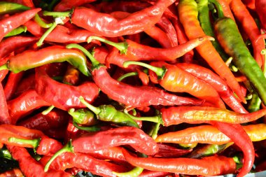 Bir sürü acı kırmızı biber.